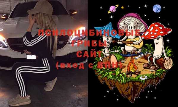 крисы Карталы