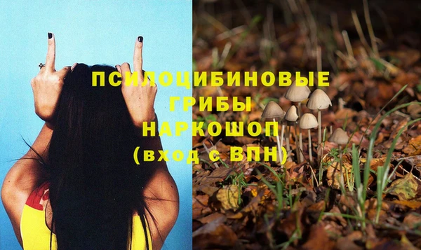 крисы Карталы