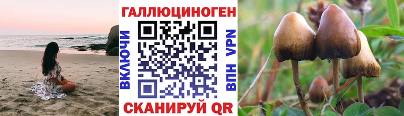 Купить закладки  Киров  Псилоцибиновые грибы Psilocybine cubensis 